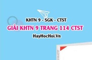 Giải KHTN 9 trang 114 Chân trời sáng tạo SGK